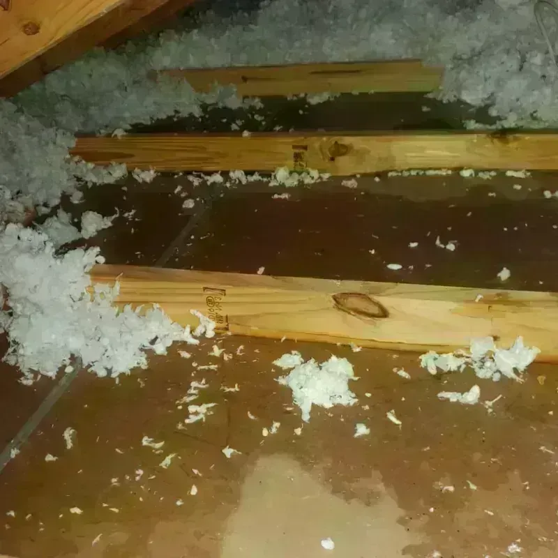 Attic Water Damage in Sitka, AK