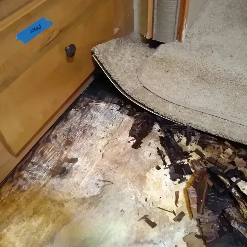 Wood Floor Water Damage in Sitka, AK